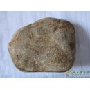 红翡,黄盐沙皮翡翠原石,赌石MWJ559