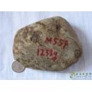 红翡,黄盐沙皮翡翠原石,赌石MWJ559