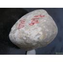 达摩坎翡翠原石,水石,赌石D701